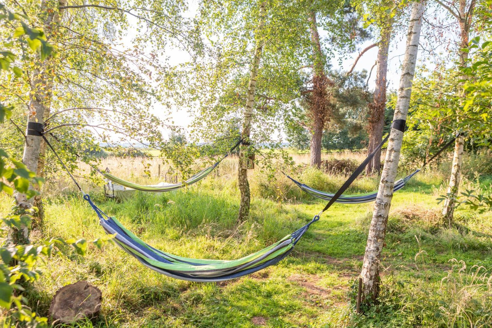 Stargazer Glamping Uk Andromeda 6 People Ross-on-Wye Exterior foto